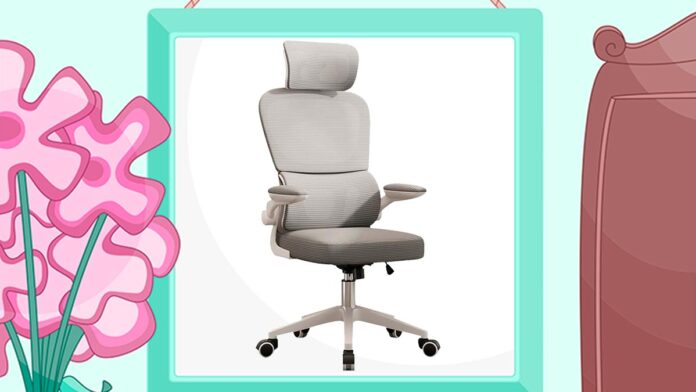 Cadeira de Escritório Ergonômica Python Fly