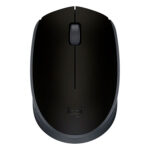 Logitech M170