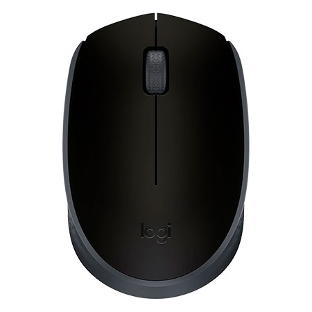Logitech M170