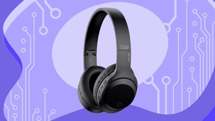 bass-300-I2go Bass 300 I2GO