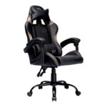 Cadeira Gamer TGT Heron TC2